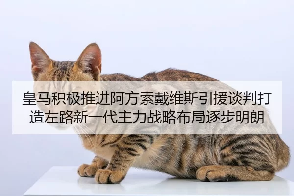 皇马积极推进阿方索戴维斯引援谈判打造左路新一代主力战略布局逐步明朗