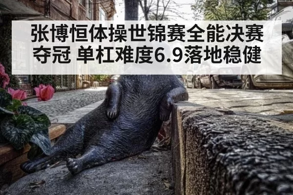 张博恒体操世锦赛全能决赛夺冠 单杠难度6.9落地稳健