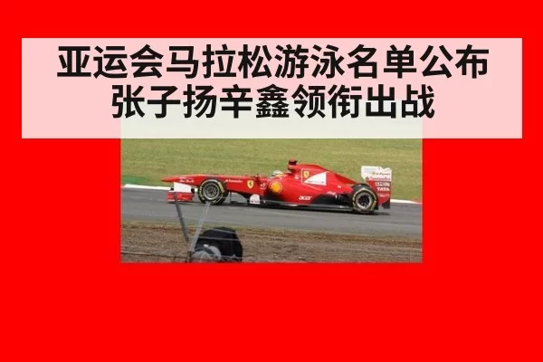 亚运会马拉松游泳名单公布 张子扬辛鑫领衔出战