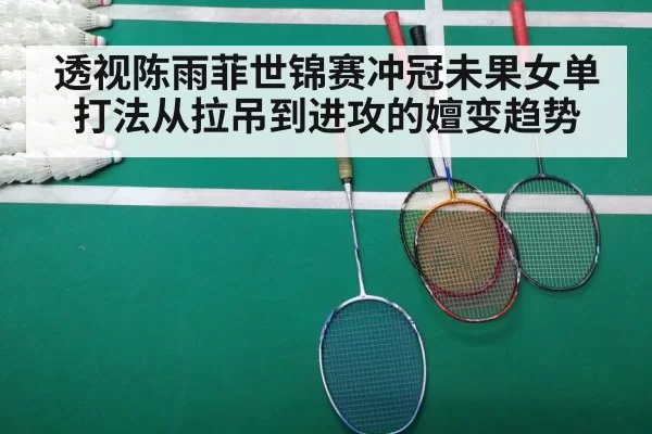 badminton court match