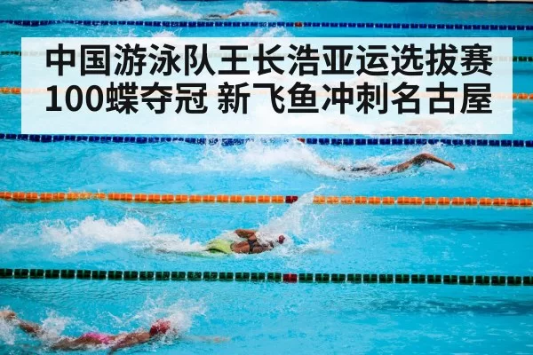 swimming competition pool